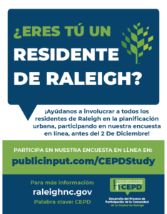 Survey Promotion Flyer in Spanish