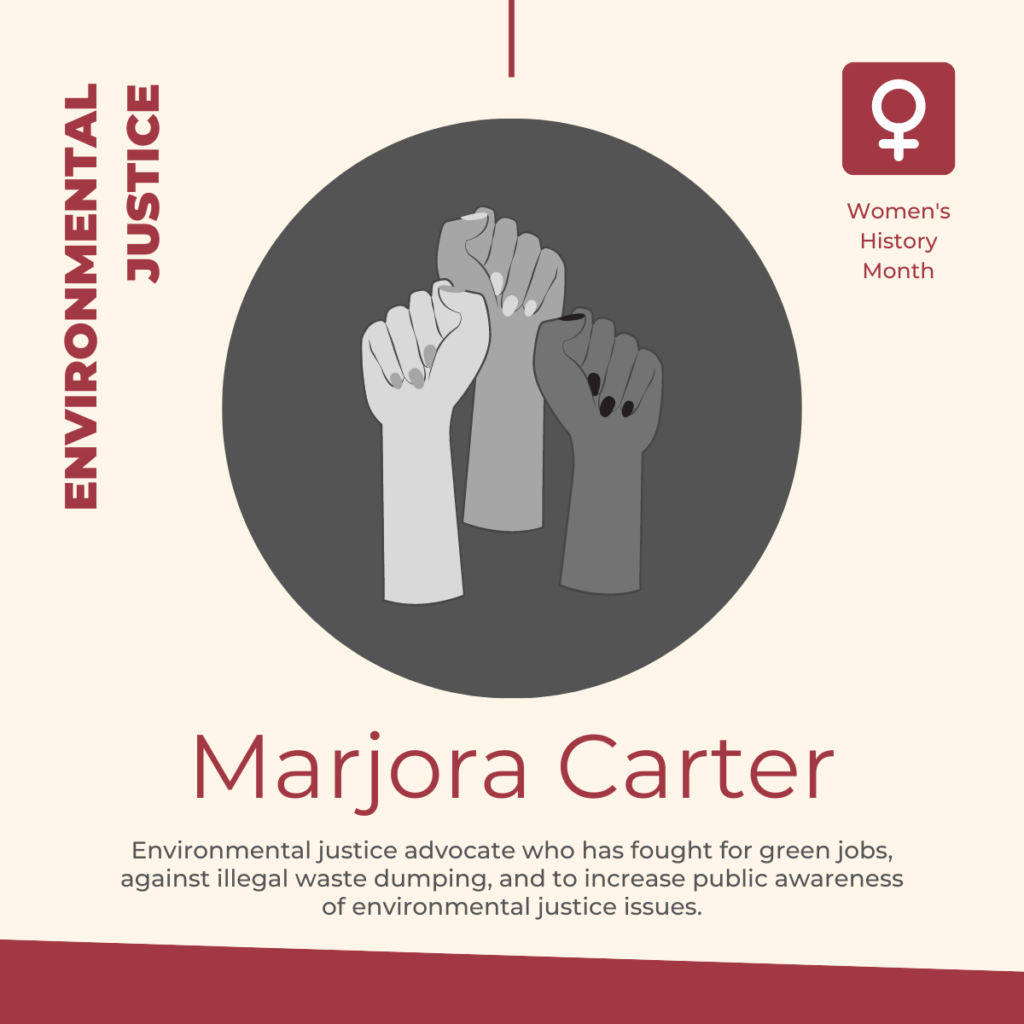 Marjora Carter - Environmental justice advocate who has fought for green jobs, against illegal waste dumping, and to increase public awareness of environmental justice issues.